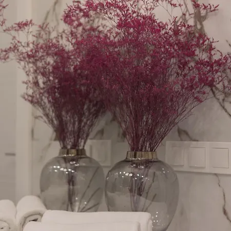 Crystal Premium By Bookinghost *