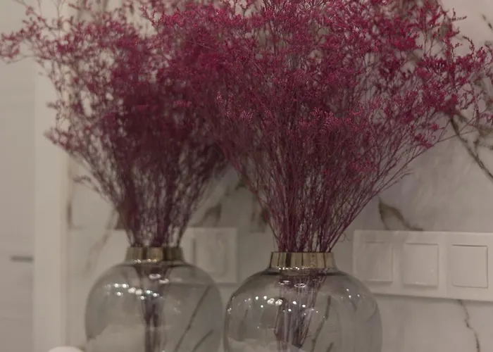 Crystal Premium By Bookinghost *